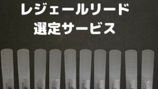 レジェールリード選定サービス